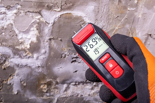 Best Residential Mold Removal  in Little Walnut Village, NM
